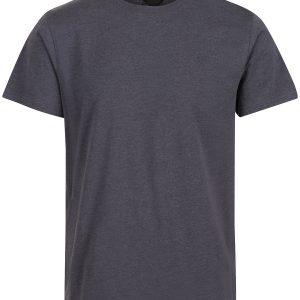 Regatta Professional Pro Soft-Touch Cotton T-Shirt - Seal Grey, 2XL
